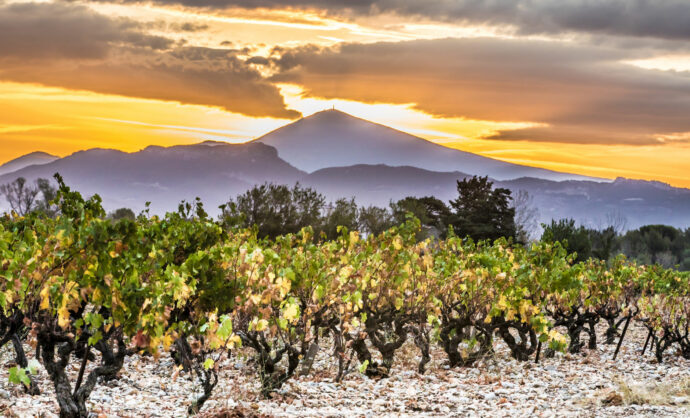 Rhône Valley vineyards © Kessler