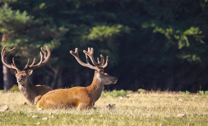 Protecting nature