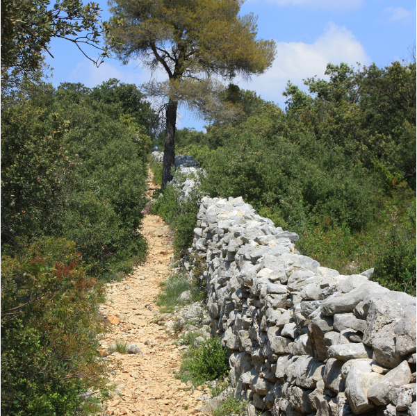 the Mur de la Peste