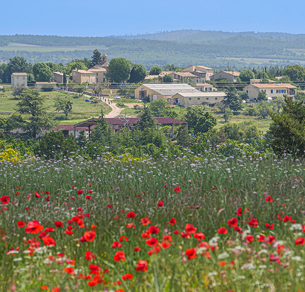 From Saint-Trinit to Aurel